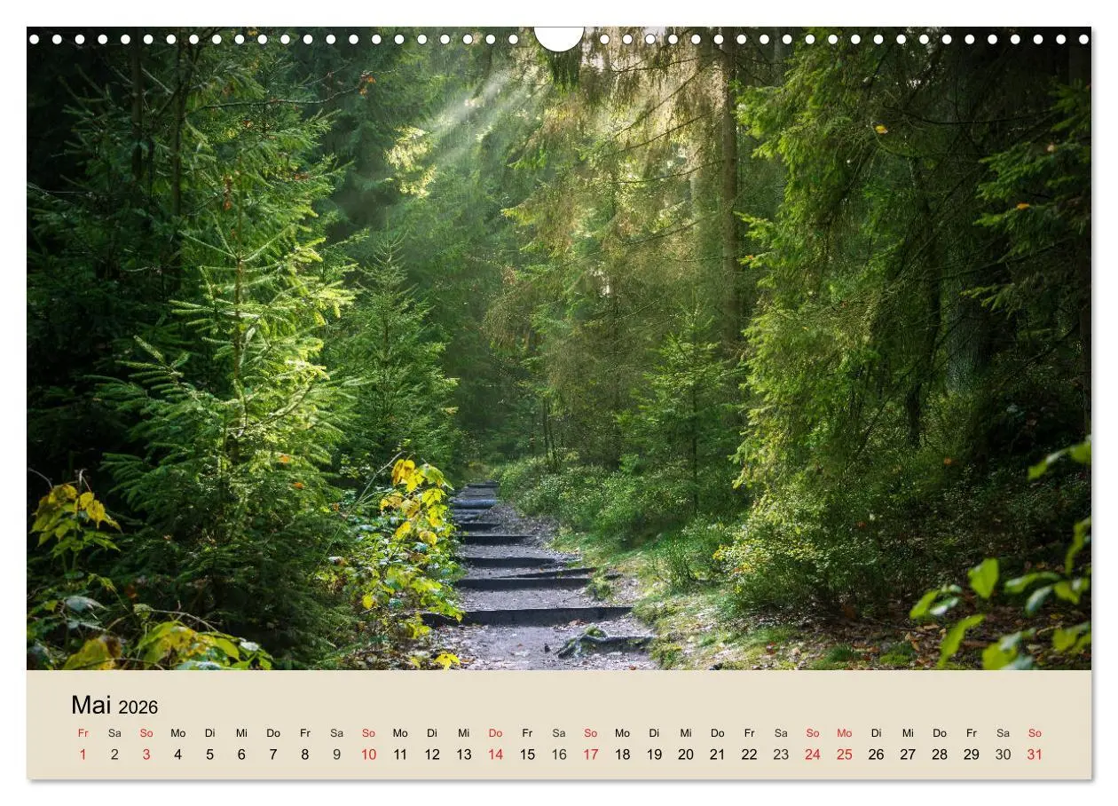 Bild: 9783457937181 | Der Wald. Durch zauberhafte Waldlandschaften (Wandkalender 2026 DIN...
